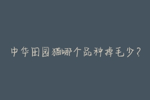 中华田园猫哪个品种掉毛少?