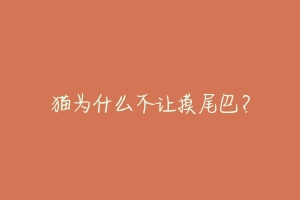 猫为什么不让摸尾巴?