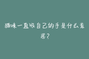 猫咪一直吸自己的手是什么意思？