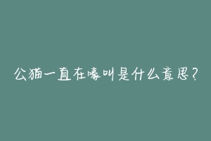 公猫一直在嚎叫是什么意思?