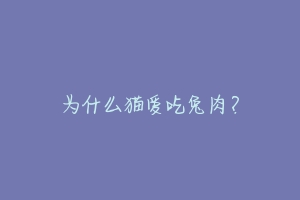 为什么猫爱吃兔肉?