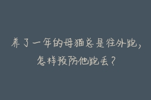 养了一年的母猫总是往外跑,怎样预防他跑丢?