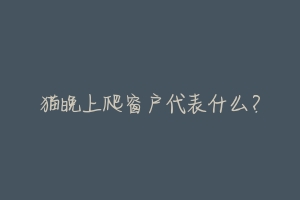 猫晚上爬窗户代表什么?