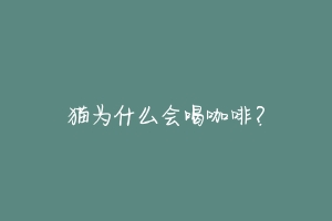 猫为什么会喝咖啡?