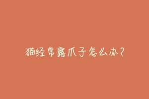 猫经常露爪子怎么办?