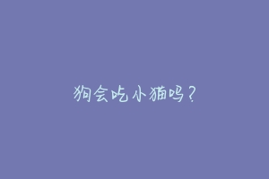 狗会吃小猫吗?