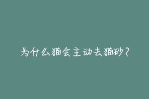 为什么猫会主动去猫砂?