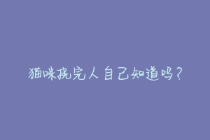 猫咪挠完人自己知道吗?