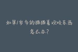 如果1岁多的猫猫喜欢咬东西怎么办?