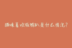 猫咪喜欢板鸭趴是什么情况?