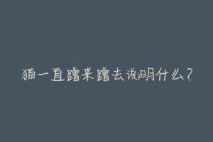猫一直蹭来蹭去说明什么?
