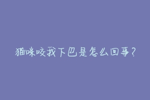 猫咪咬我下巴是怎么回事?
