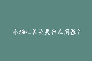 小猫吐舌头是什么问题?