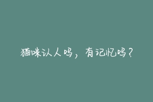 猫咪认人吗,有记忆吗?
