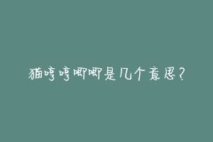 猫哼哼唧唧是几个意思?