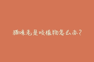 猫咪老是咬植物怎么办?