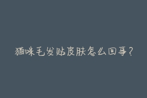 猫咪毛发贴皮肤怎么回事?