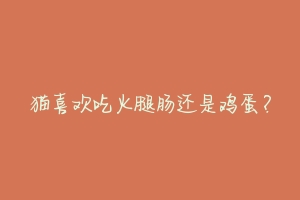 猫喜欢吃火腿肠还是鸡蛋?