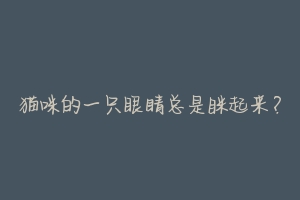 猫咪的一只眼睛总是眯起来?