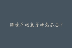 猫咪不咬磨牙棒怎么办?