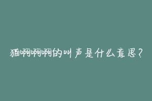 猫啊啊啊的叫声是什么意思?