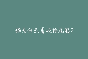 猫为什么喜欢拍屁股?