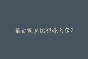 最近很火的猫咪名字？