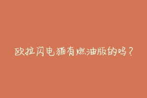 欧拉闪电猫有燃油版的吗?