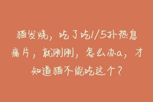 猫发烧，吃了吃1/5扑热息痛片，就刚刚，怎么办a，才知道猫不能吃这个？
