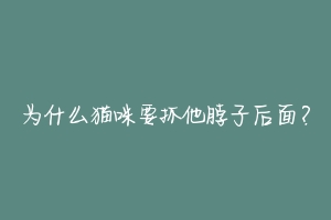 为什么猫咪要抓他脖子后面？