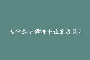 为什么小猫咪不让靠近头?