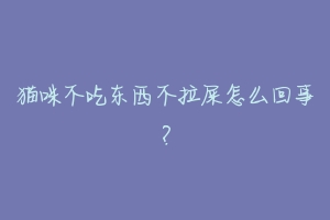 猫咪不吃东西不拉屎怎么回事?