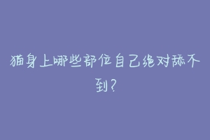 猫身上哪些部位自己绝对舔不到?