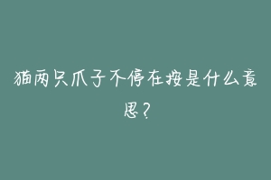 猫两只爪子不停在按是什么意思？
