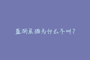蓝渐层猫为什么不叫?