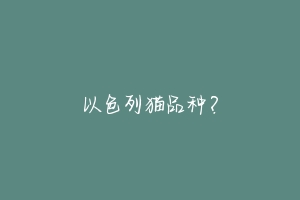 以色列猫品种?