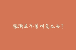 银渐层不爱叫怎么办?
