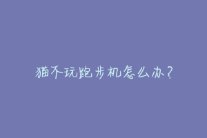 猫不玩跑步机怎么办?
