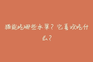 猫能吃哪些水果?它喜欢吃什么?