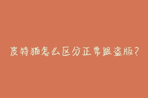皮特猫怎么区分正常跟盗版？