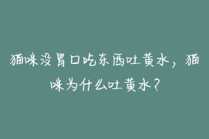 猫咪没胃口吃东西吐黄水,猫咪为什么吐黄水?