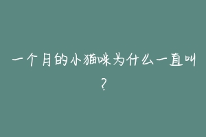 一个月的小猫咪为什么一直叫?