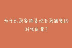 为什么我家猫喜欢在我睡觉的时候乱窜？
