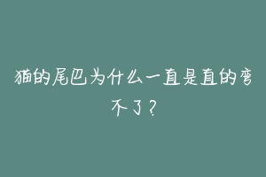 猫的尾巴为什么一直是直的弯不了?