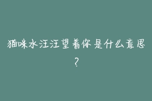 猫咪水汪汪望着你是什么意思?