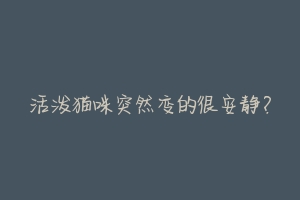 活泼猫咪突然变的很安静?
