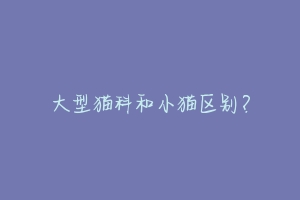 大型猫科和小猫区别?