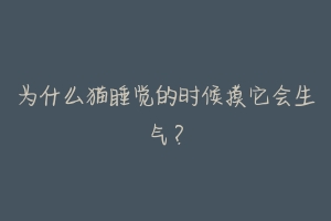 为什么猫睡觉的时候摸它会生气？