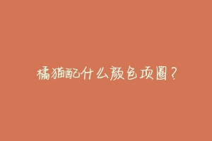 橘猫配什么颜色项圈?