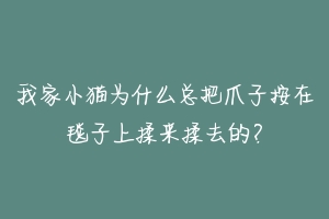 我家小猫为什么总把爪子按在毯子上揉来揉去的?